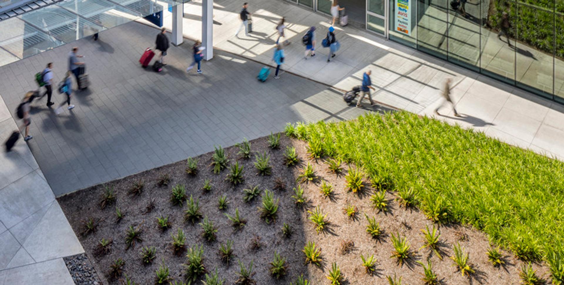 View from above of travelers walking past planted mounds at the PACR facility.