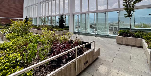 Therapeutic garden at the Oregon Burn Center with raised planters, handrails, and city views beyond.