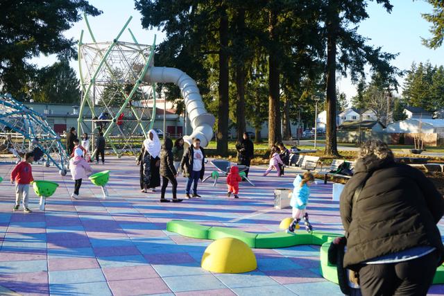 Mill Park playground